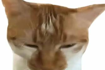 俺不得勁是什么意思