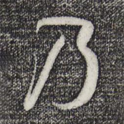 孫過(guò)庭寫(xiě)的草書(shū)乃