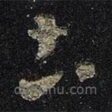 王羲之寫的草書土