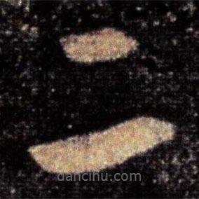 张芝写的草书二