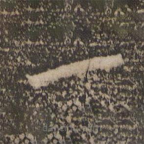 李怀琳写的草书一