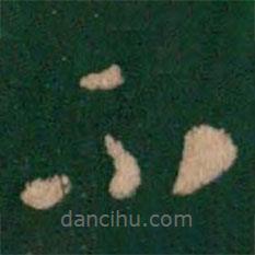 王羲之写的草书不