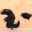 王铎写的草书玉