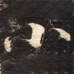 蘇軾寫的草書小