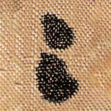 傅山写的草书之