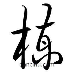 流江寫的草書楝