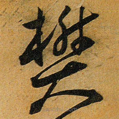 王寵寫的草書樊