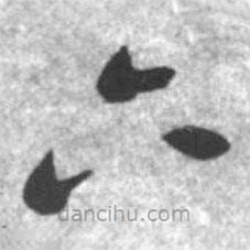 啟功寫的草書六