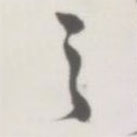 侯寶璋寫的草書天