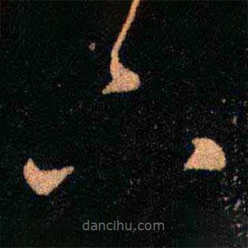 王羲之寫的草書下