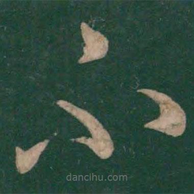 刘瑰之写的草书不