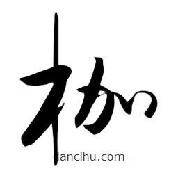 流江寫的草書枷