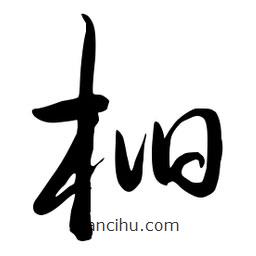 流江寫的草書桕