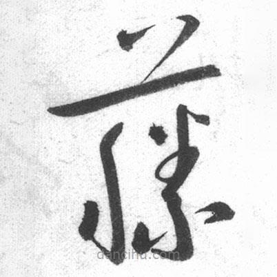 啟功寫的草書藤