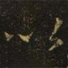 王献之写的草书以