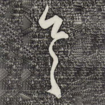 赵孟頫写的草书具