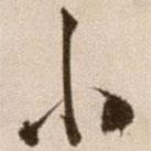 徐渭写的草书小