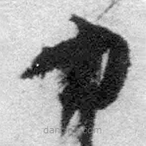 王鐸寫的草書力