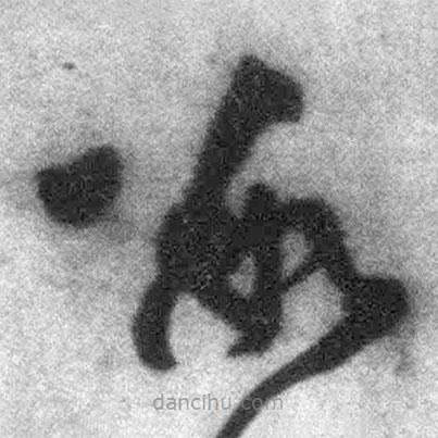 王铎写的草书数