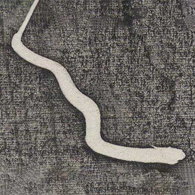 懷素寫的草書之