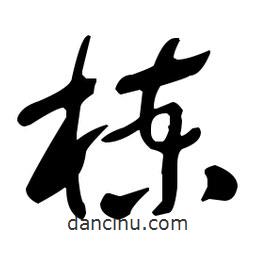 于右任寫的草書楝