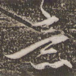 赵孟頫写的草书意