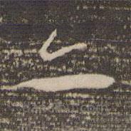 祝允明寫的草書亦