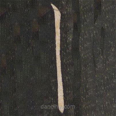 王庾寫(xiě)的草書(shū)耳
