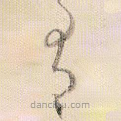 賀知章寫的草書有