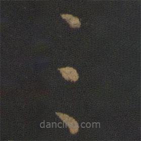 王献之写的草书三