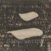 祝允明写的草书二