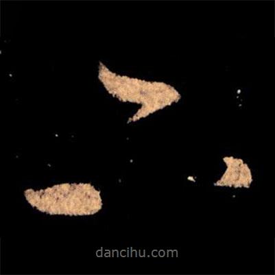 王獻(xiàn)之寫的草書下