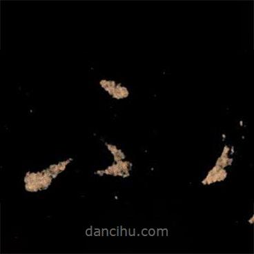 王献之写的草书不