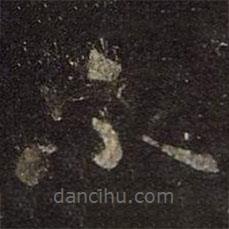 王羲之写的草书不