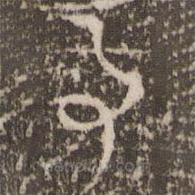 徐有贞写的草书事