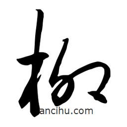 流江寫的草書柳
