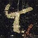 王羲之写的草书今