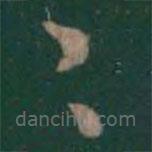 曹植寫的草書今