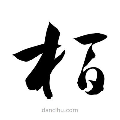 孫萬(wàn)民寫(xiě)的草書(shū)栢