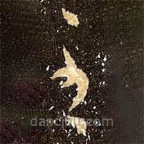 王羲之写的草书至