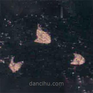 王羲之寫的草書下