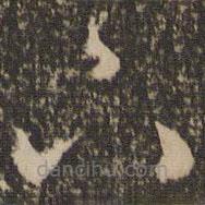 懷素寫的草書下