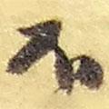 趙之謙寫(xiě)的草書(shū)不