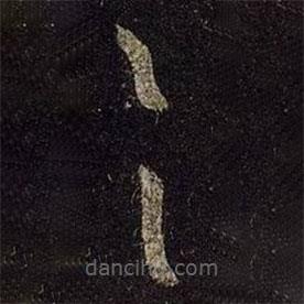 王羲之寫的草書具