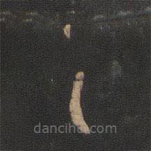 王羲之写的草书具