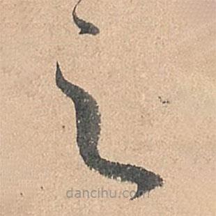 孙过庭写的草书之