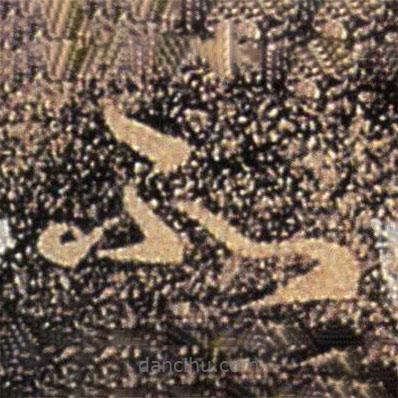 桓温写的草书所