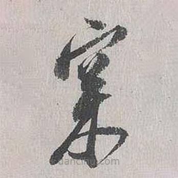 向水寫的草書松