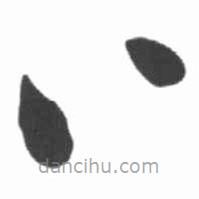 启功写的草书八