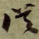 趙之謙寫的草書從